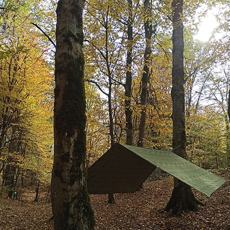 سایبان کمپینگ وصل شده به دو درخت از نمای روبرو