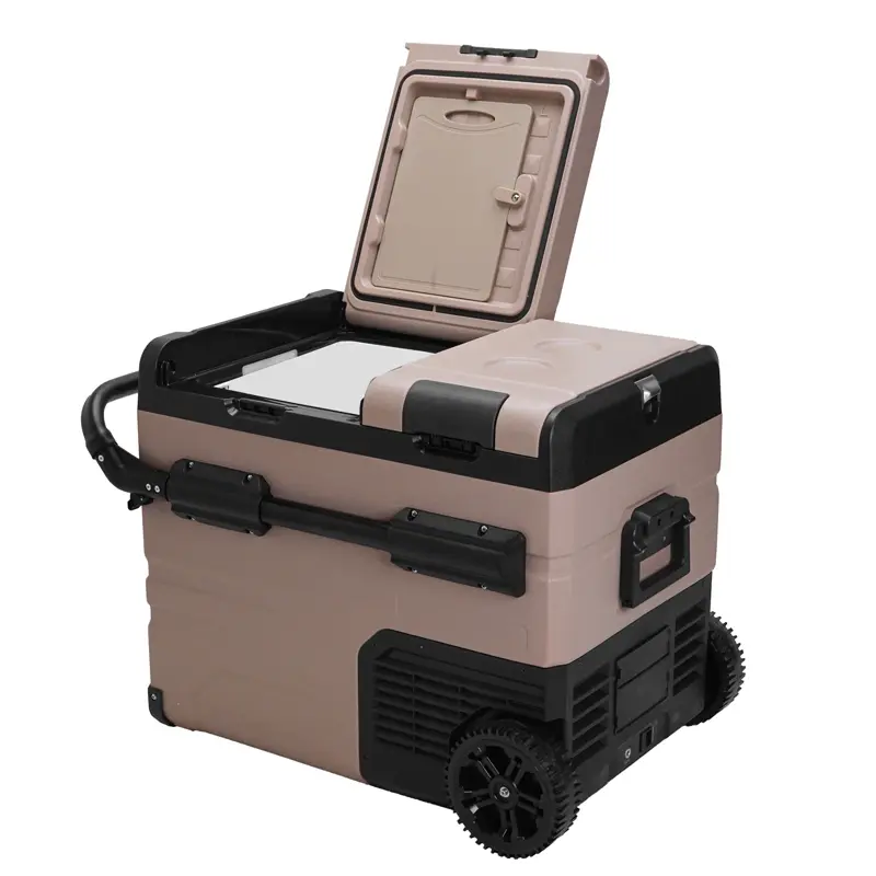 زاویه 45 درجه از یخچال و فریزر آلپیکول با یک درب باز