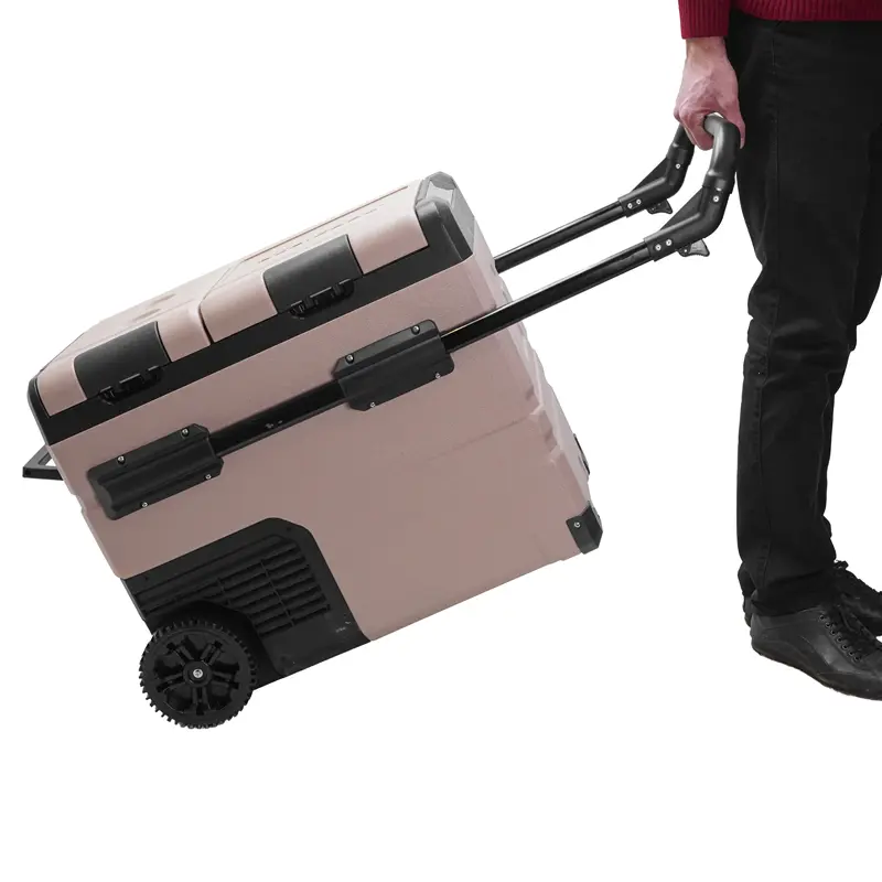 یخچال و فریزر قابل‌ حمل آلپیکول رنگ خاکی در دست یک نفر